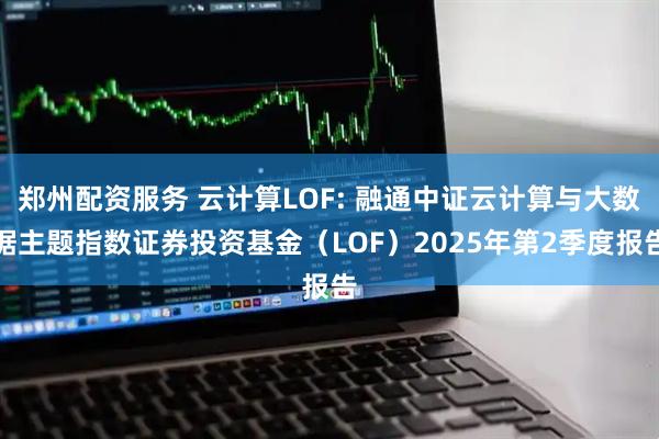 郑州配资服务 云计算LOF: 融通中证云计算与大数据主题指数证券投资基金（LOF）2025年第2季度报告