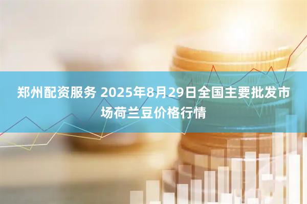 郑州配资服务 2025年8月29日全国主要批发市场荷兰豆价格行情
